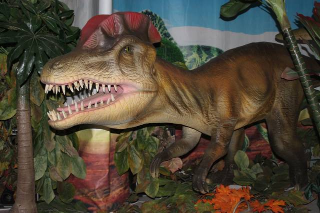 Выставка динозавров колизей. Экспозиция динозавров. Выставка динозавров. Живые динозавры в музее. Чучело динозавра.