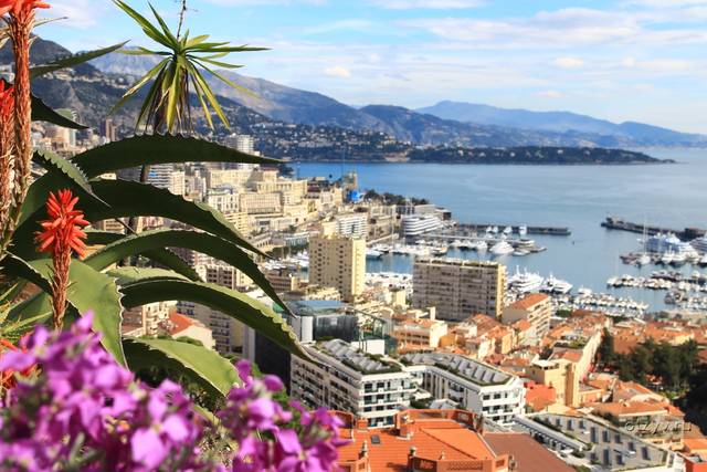 Отдых в монако отзывы стоимость квартир в болгарии